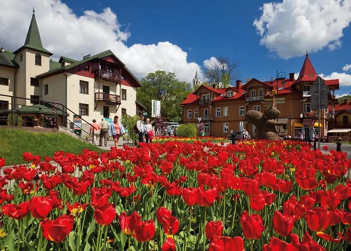 Affittacamere Schronisko Pttk Orlica 3*