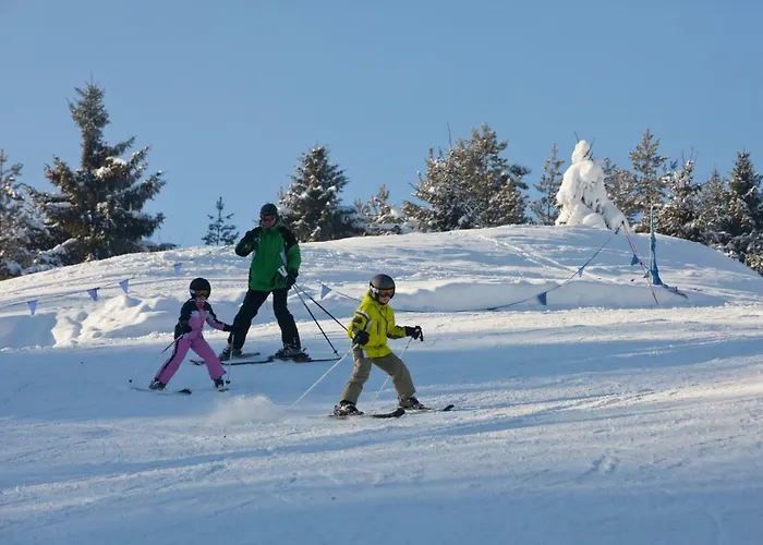 Schronisko Pttk Orlica Affittacamere Szczawnica
